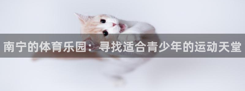 尊龙官方正版app娱乐下载:南宁的体育乐园:寻找适合青少年的