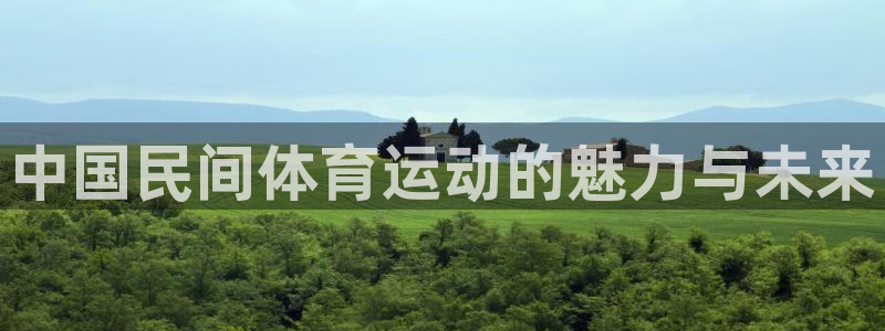 尊龙官网下载是干嘛的公司:中国民间体育运动的魅力与未来