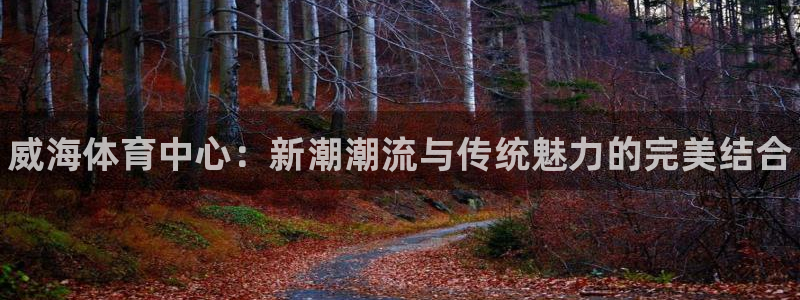 尊龙官网下载招商电话号码是多少:威海体育中心:新潮潮流与传统