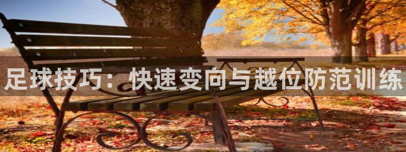 尊龙官网下载招商电话号码查询是多少:足球技巧:快速变向与越位