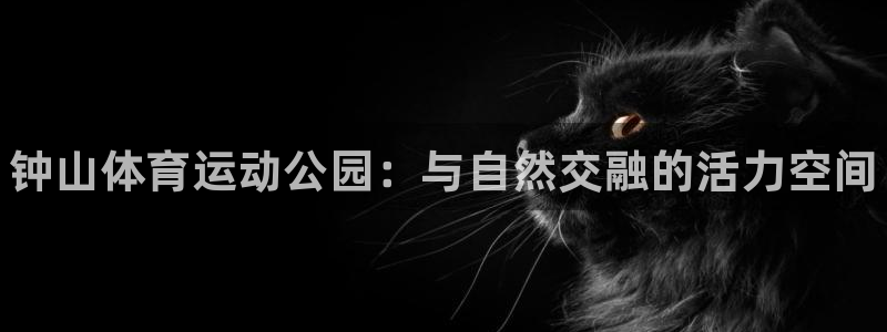 尊龙官方正版app集团官网首页:钟山体育运动公园:与自然交融