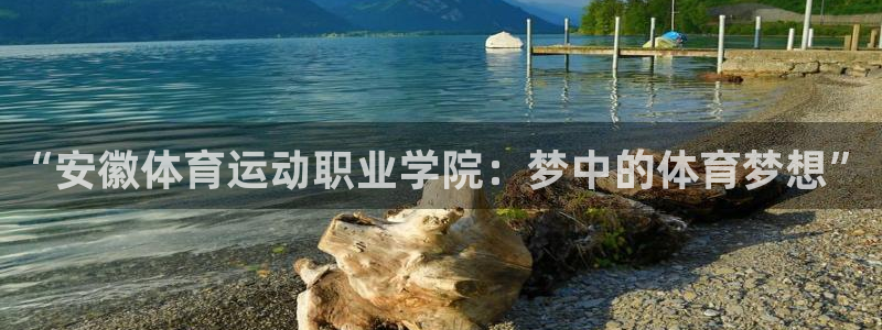 尊龙官网下载招商电话号码:“安徽体育运动职业学院:梦中的体育